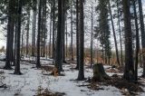 20150110-AJ014987.jpg